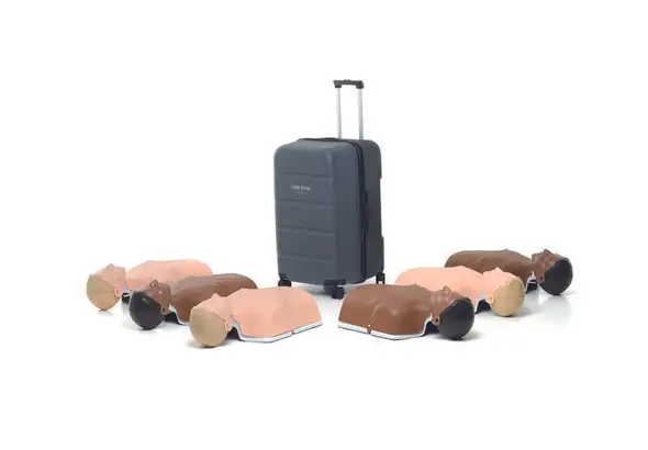 Little Anne Combo 6-pack QCPR